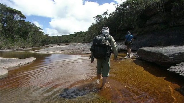 在圭亚那高地Auyantepui上沿着河流徒步旅行视频素材