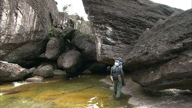 在圭亚那高地Auyantepui上沿着河流徒步旅行视频素材