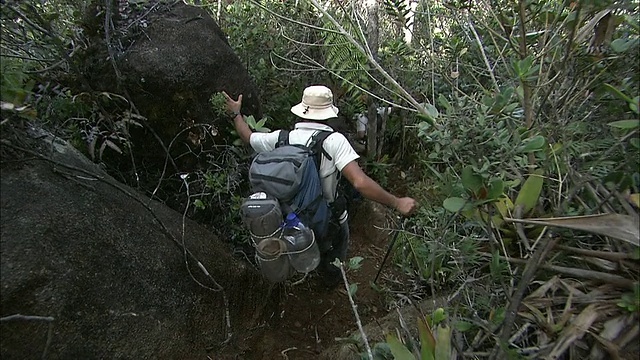 在圭亚那高地Auyantepui山顶徒步旅行视频素材