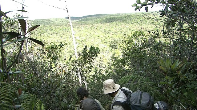 在圭亚那高地Auyantepui山顶徒步旅行视频素材