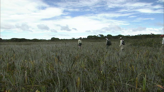 在圭亚那高地Auyantepui山顶徒步旅行视频素材