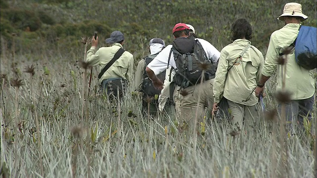 在圭亚那高地Auyantepui山顶徒步旅行视频素材