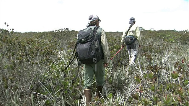 在圭亚那高地Auyantepui山顶徒步旅行视频素材