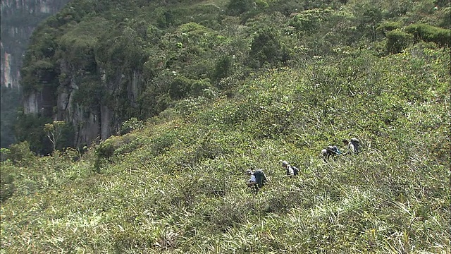 沿着圭亚那高地Auyantepui顶部的河流徒步旅行视频素材