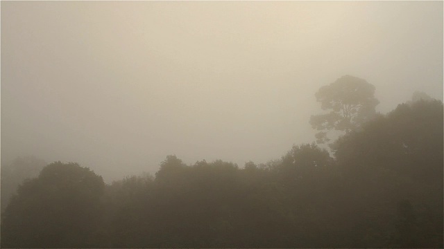 高清视频:迷雾场景，泰国视频下载