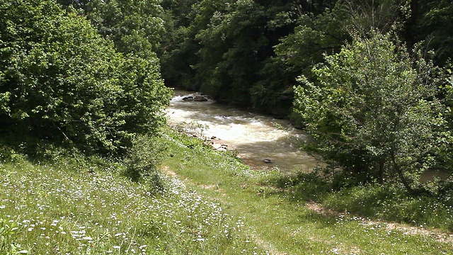 那山在岩石间流淌视频素材