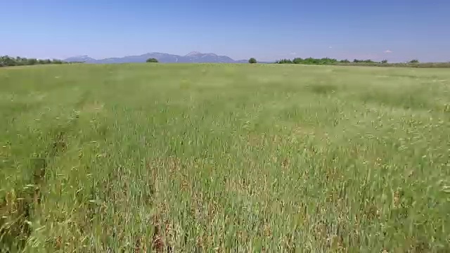 飞越绿地视频素材