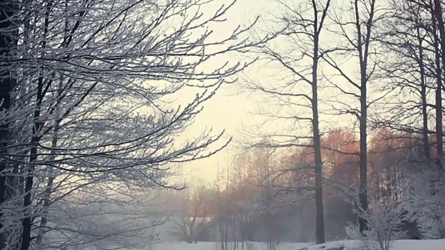 冬天的风景。冬天森林里的雪景，冰冻的河流上有雾视频素材