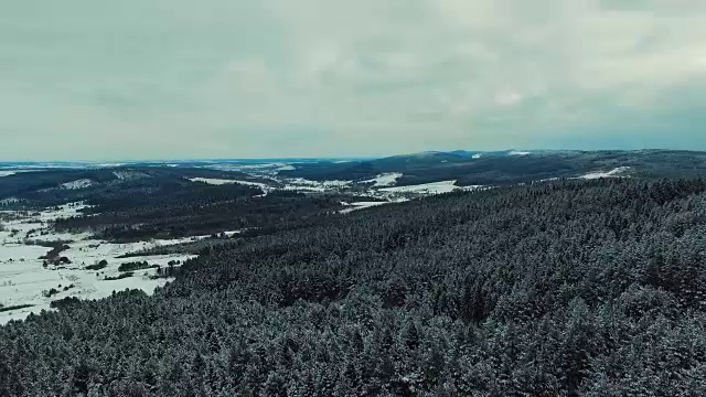 在冬天的森林里，跟随雪地里的足迹视频素材