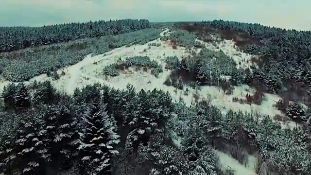 在冬天的森林里，跟随雪地里的足迹视频素材