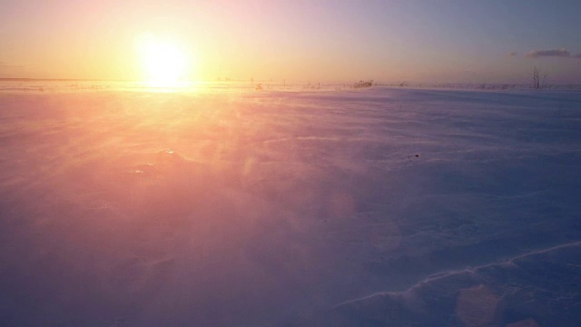 暴风雪，风和太阳。寒冷的北极。冰封雪飘视频素材