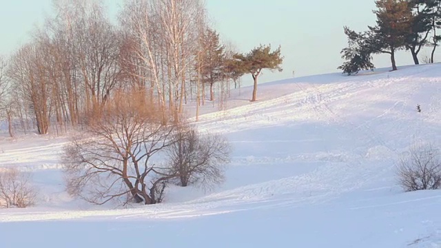 雪的领域。冬天的风景。阳光照在冬天的树上。冬季仙境视频素材