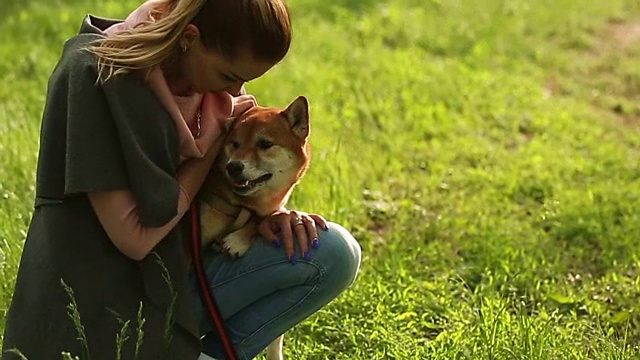 女孩抓她的柴犬视频素材