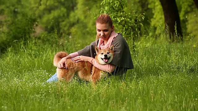 女孩拥抱狗狗Shiba Inu并和它说话视频素材