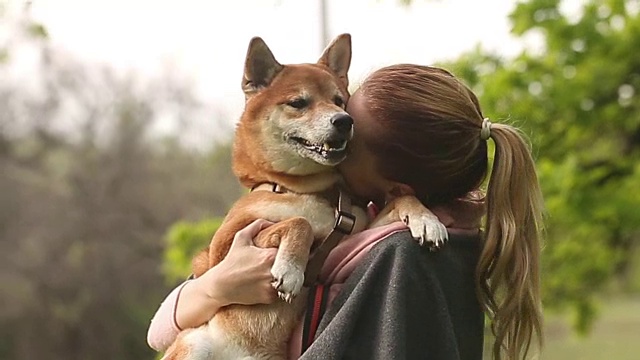 女孩抱着一只柴犬视频素材