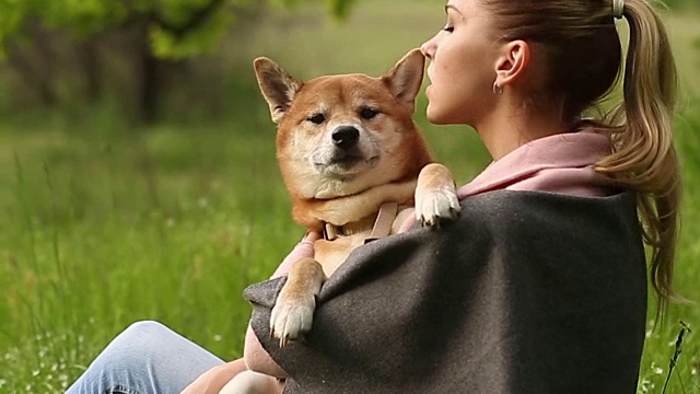 女孩咬狗狗柴犬的耳朵视频素材