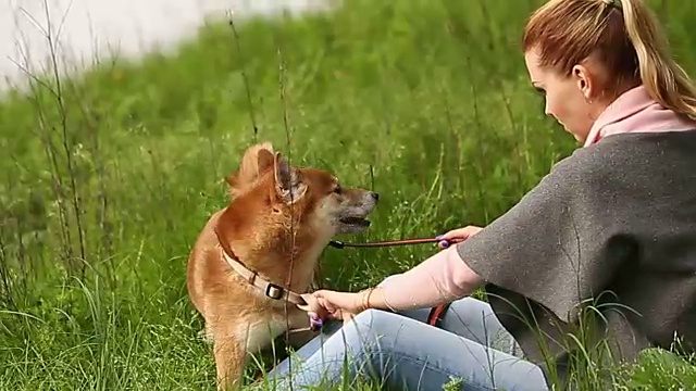 女孩抱着系着狗链的柴犬视频素材