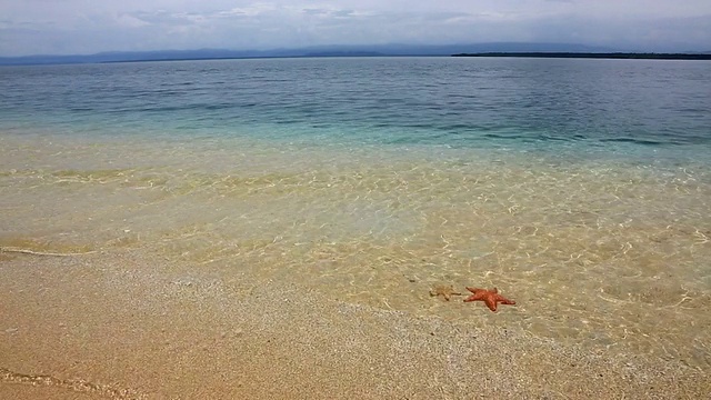 海星海滩、巴拿马视频素材