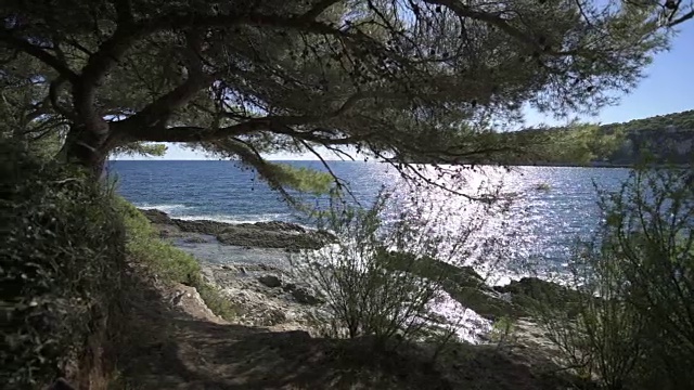 法国里维埃拉的地中海和费拉角的植被视频素材