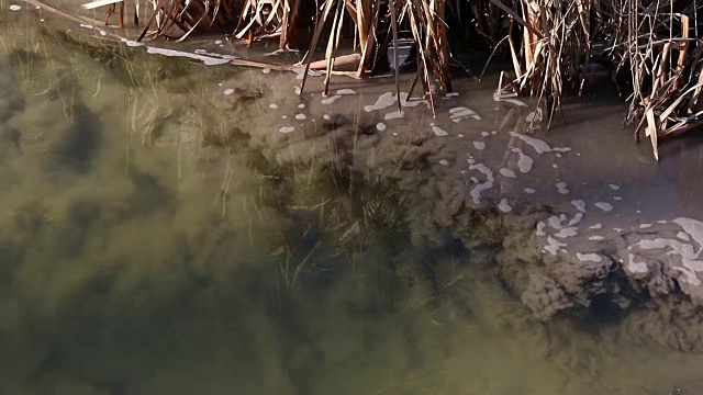 污水排入河里。视频素材