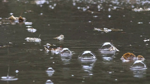 在水坑水面上吹气气泡的特写。视频素材