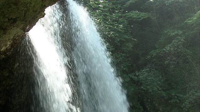 日本高山神取瀑布附近，一层薄雾漂浮在树上。视频素材