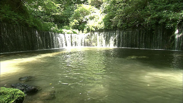 水在日本白井瀑布下面的一个水池中流动。视频素材