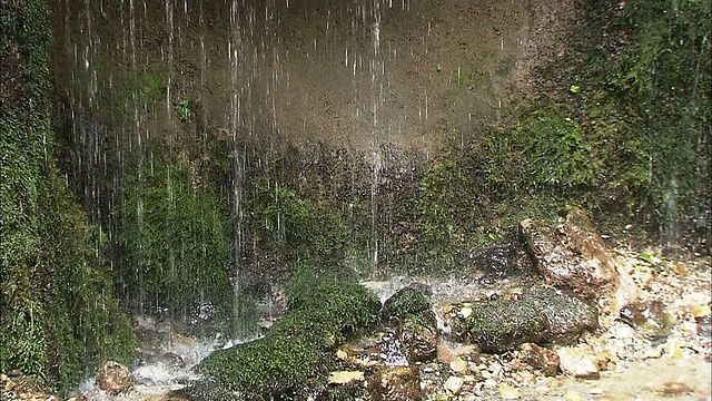 水沿着白井瀑布的苔藓流下。视频素材