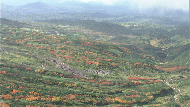 秋天的树木覆盖了日本大屿山火山群朝日山的山坡。视频素材