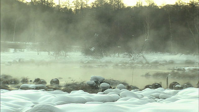 雾在池塘上空升起，池塘周围是光秃秃的树木和白雪覆盖的岩石。视频素材