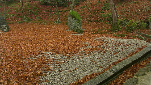 落叶散落在一座寺庙的砾石池塘里。视频素材