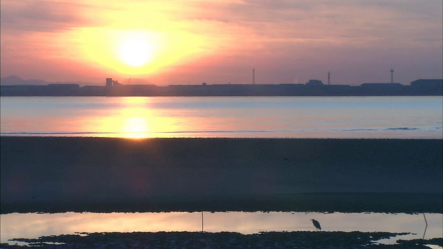 太阳在日本松干海滩附近的地平线上休息，一只鸟在前景中可见。视频素材