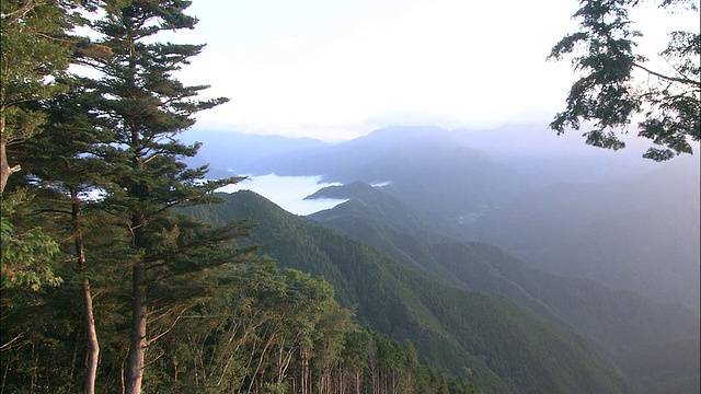 一层薄雾笼罩着东菅村的一座山。视频素材