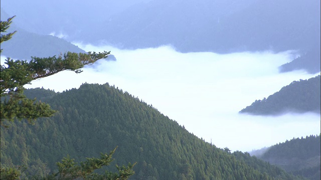 浓雾笼罩着日本的一个山谷。视频素材