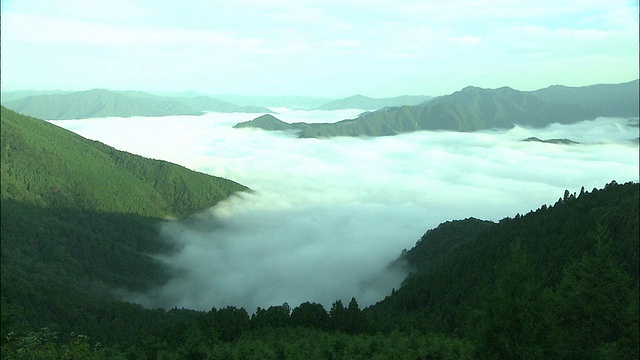 浓雾笼罩着日本的山谷。视频素材