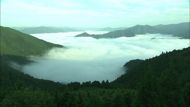 浓雾笼罩着日本的一个山谷。视频素材