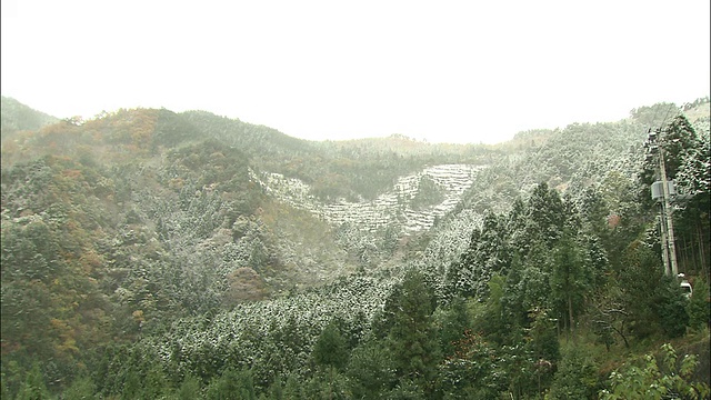 日本高松附近的星之山被大雪覆盖。视频素材