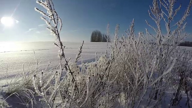 在阳光明媚的冬日，霜冻景观，时光流逝视频素材