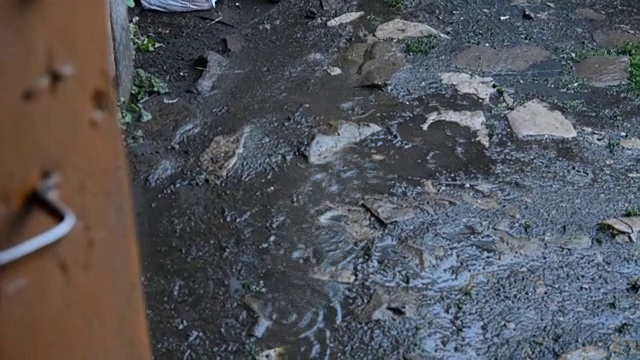 夏天的雨在院子里视频素材