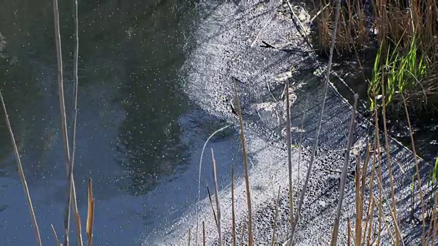 污染湖水的湖泊视频素材