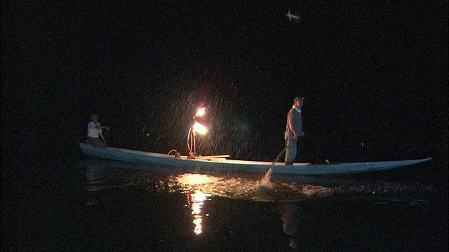 一名渔夫在河的水面上敲打一根竹藤，这种方法被称为“tataki-ami”。视频素材