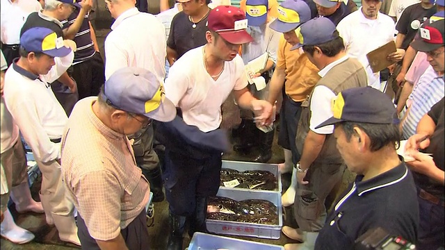 在日本马关市的海多马里市场，竞标者们正谈论着桶装河豚鱼。视频素材