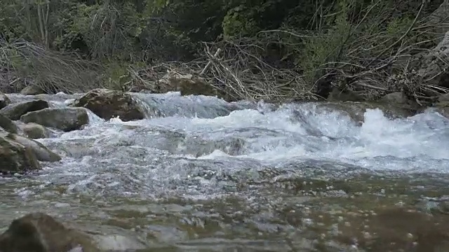 山里的小河视频素材