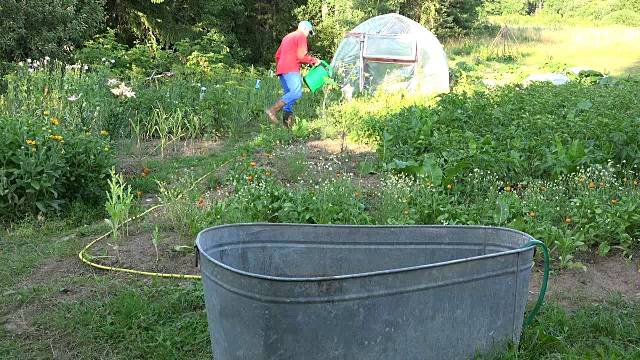 农夫用罐子在花园里打水浇植物视频素材