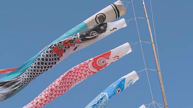 Koinobori Japanease鲤鱼流光,东京,日本视频购买