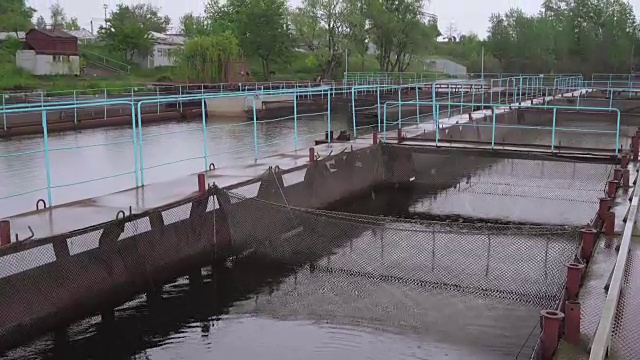 小星渔场在一条淡水河上，平移录像视频素材