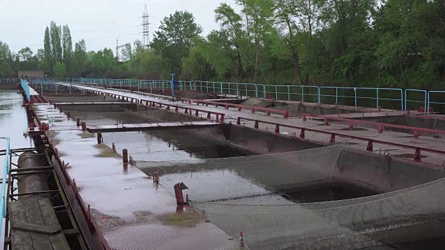 淡水河上的浮桥鲟鱼养殖场，拍摄视频视频素材