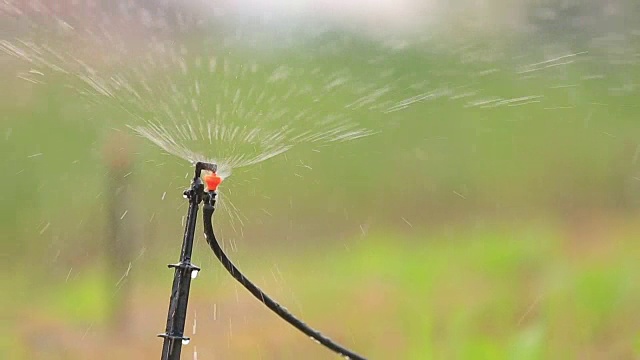 花园灌溉用洒水车浇灌草坪视频素材