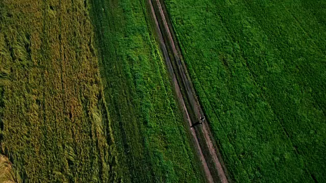 航拍:跑步运动员。男性跑步者在户外慢跑。体育运动视频素材