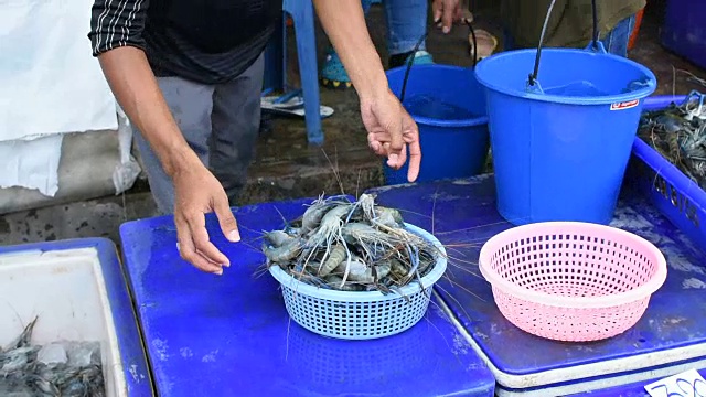 泰国街头小吃市场的虾视频素材